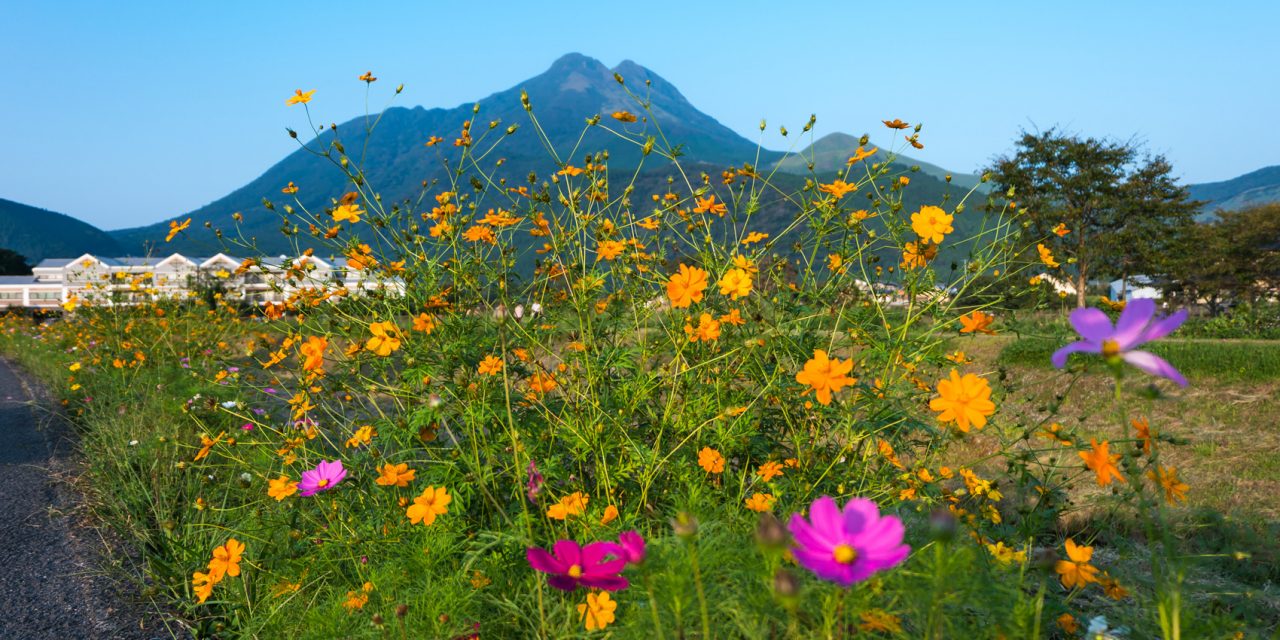 Yufuin Floral Village : une bourgade anglaise perdue en plein cœur du Japon