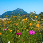 Yufuin Floral Village : une bourgade anglaise perdue en plein cœur du Japon
