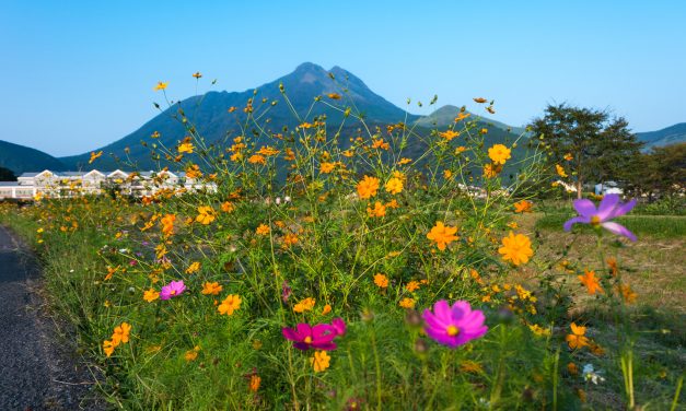 Yufuin Floral Village : une bourgade anglaise perdue en plein cœur du Japon