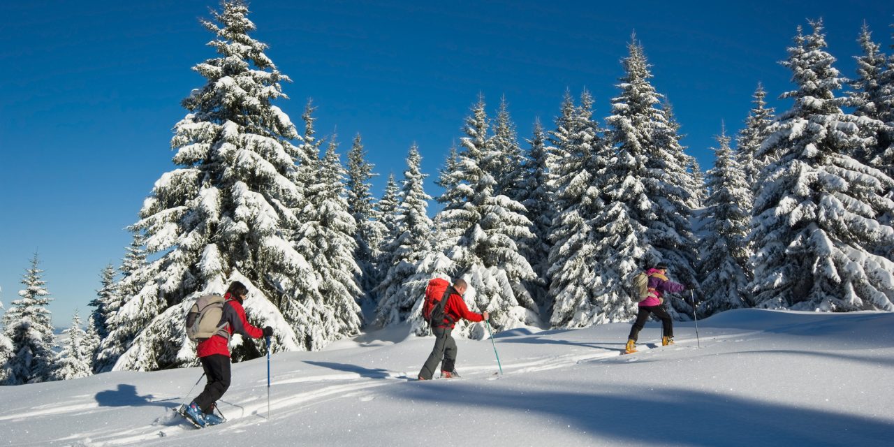 Les plus belles destinations ski des Alpes, en France