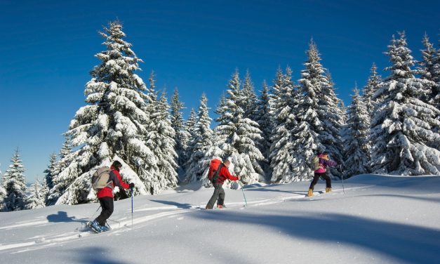 Les plus belles destinations ski des Alpes, en France