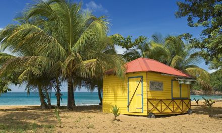 Les plus belles plages de Basse-Terre