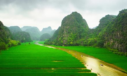 À quelle saison voyager au Vietnam?