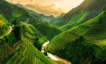 Voyage en Extrême-Orient : Vietnam Laos et Cambodge