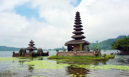 Tous les meilleurs conseils pour voyager à Bali