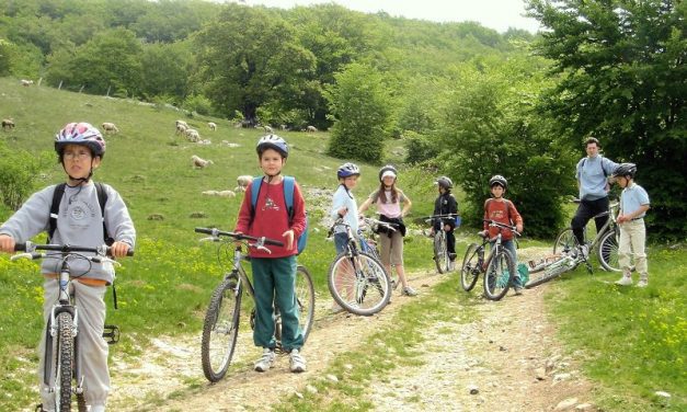 Comment organiser un voyage éducatif ?