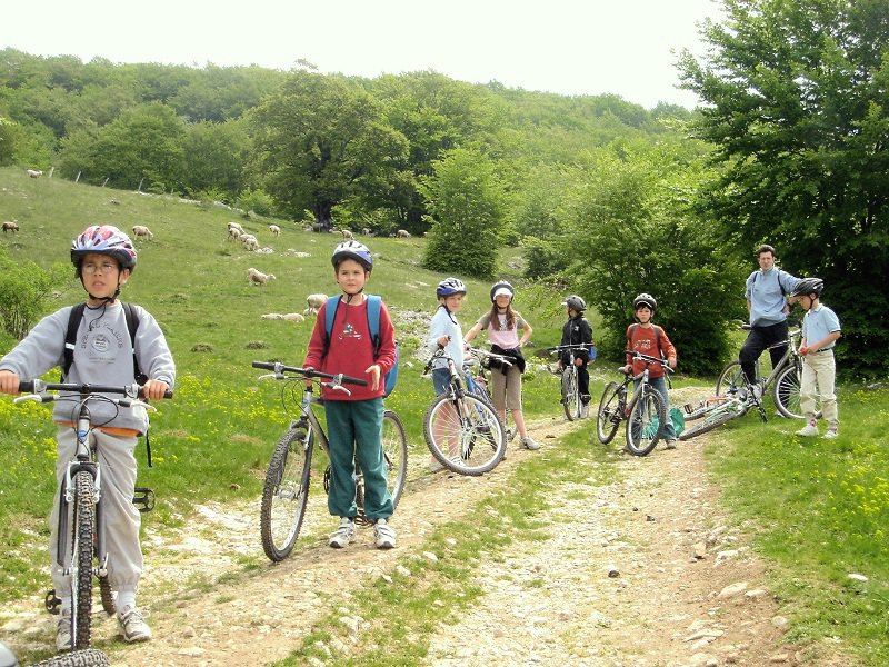 Comment organiser un voyage éducatif ?