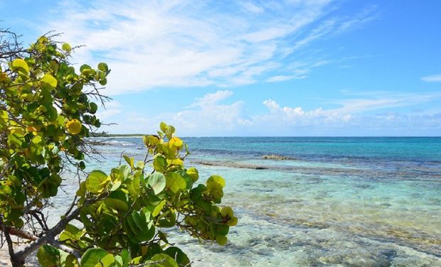 Quand aller en Guadeloupe ?