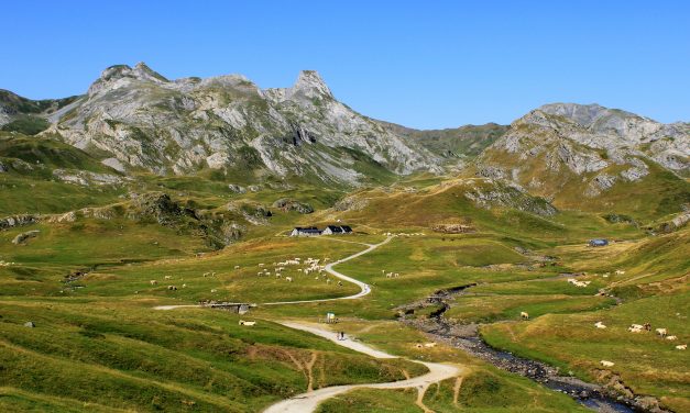 Destination nature en Pyrénées Audoises