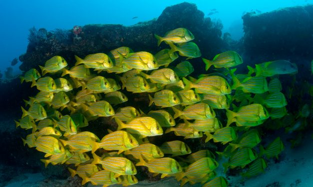 La Basse Californie, une incroyable région du Mexique qui gagne à être connue