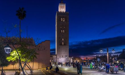 Les Top Expériences et Excursions à Marrakech