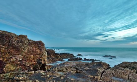 À la découverte de la Vendée